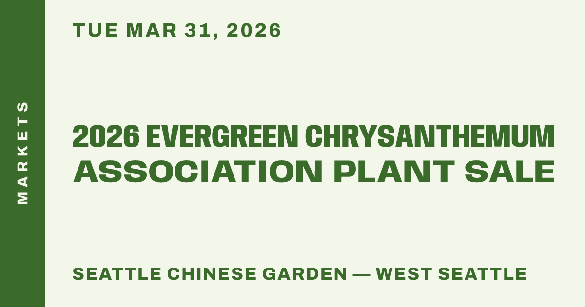 2026 Evergreen Chrysanthemum Association Plant Sale