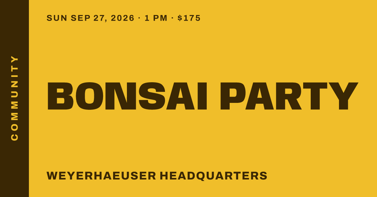 Bonsai party