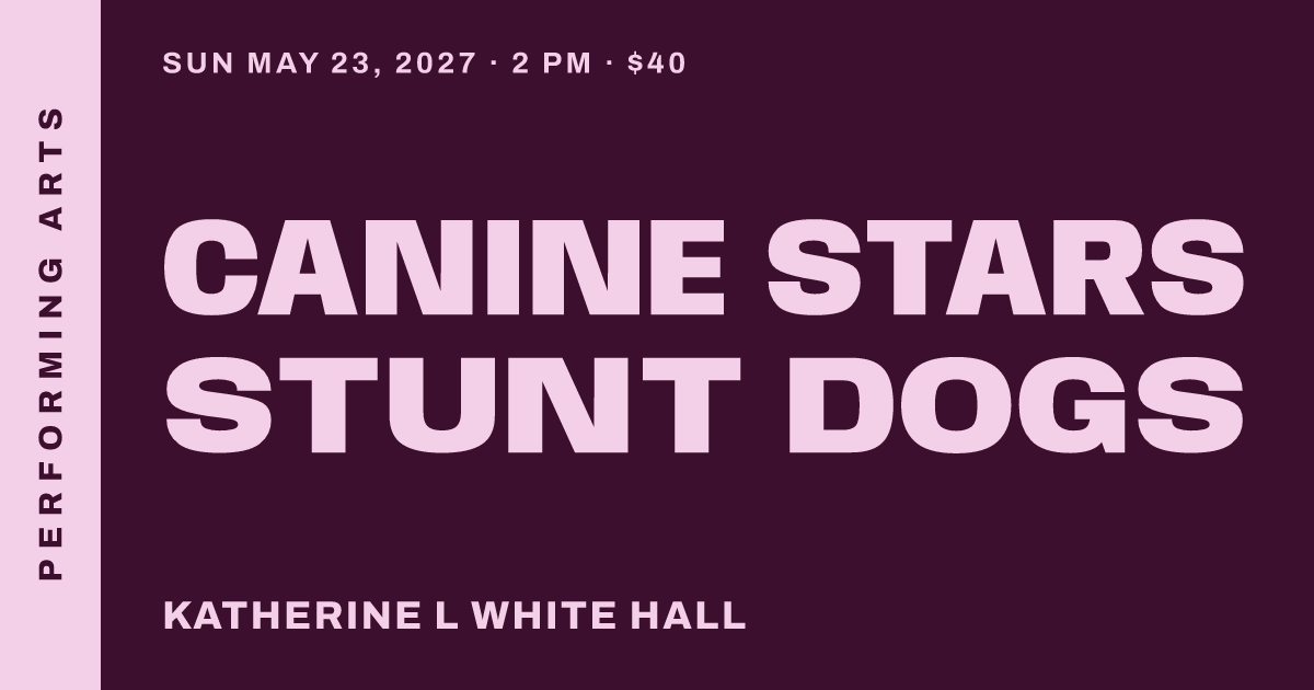 Canine Stars Stunt Dogs