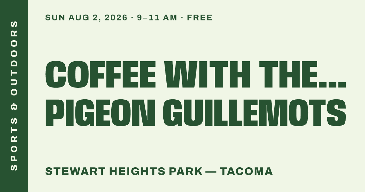 Coffee with the Birds: Pigeon Guillemots