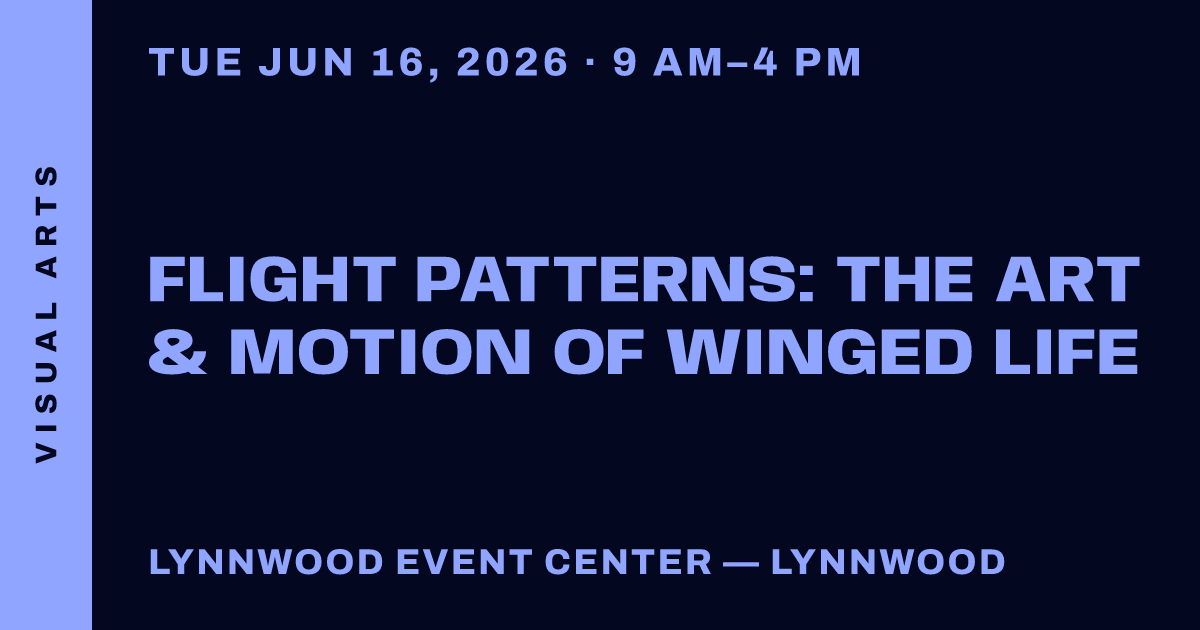 Flight Patterns: The Art & Motion of Winged Life