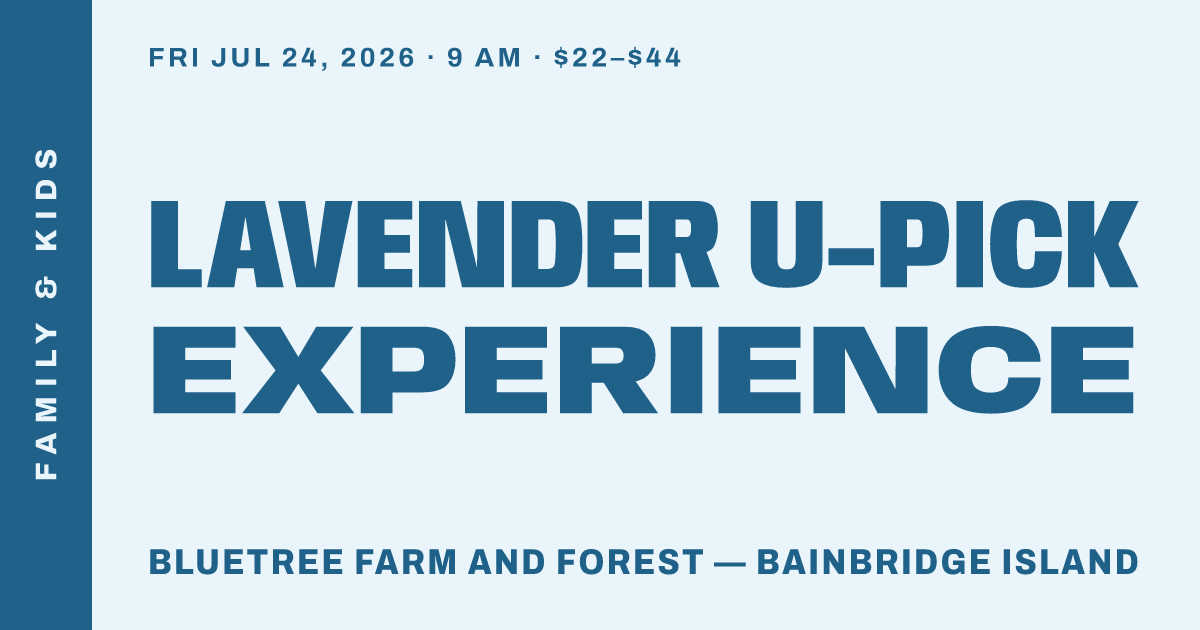 Lavender U-Pick Experience