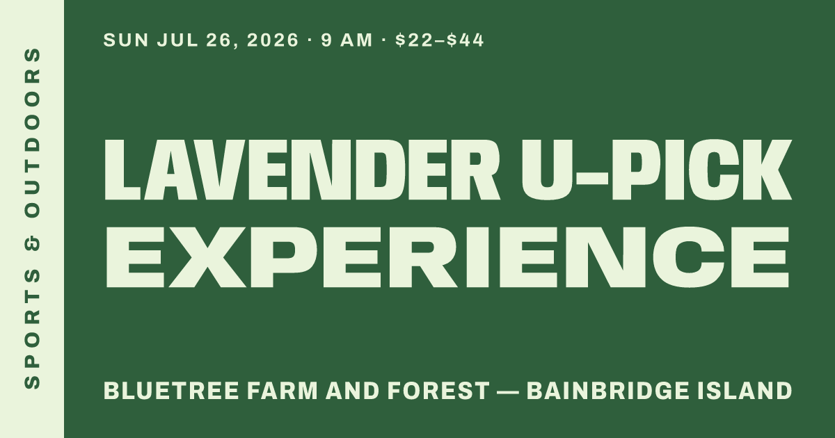Lavender U-Pick Experience
