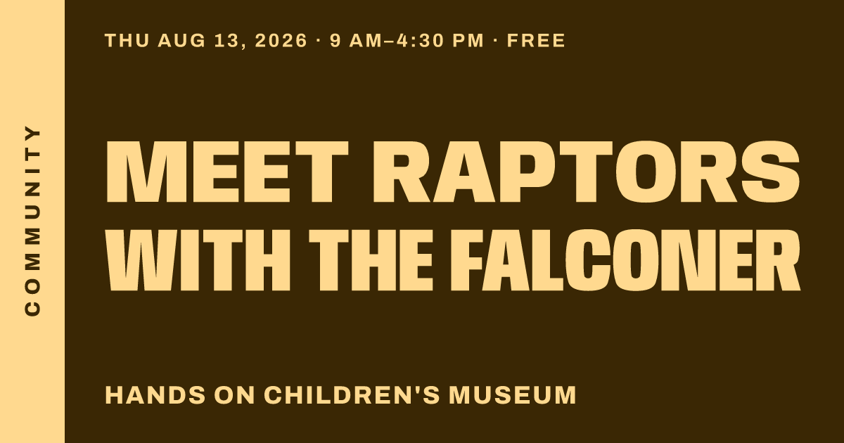 Meet Raptors with The Falconer