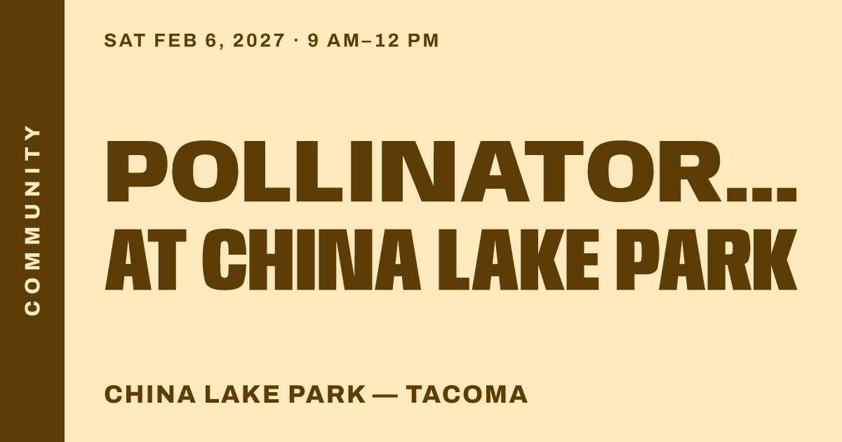 Pollinator Work Party at China Lake Park