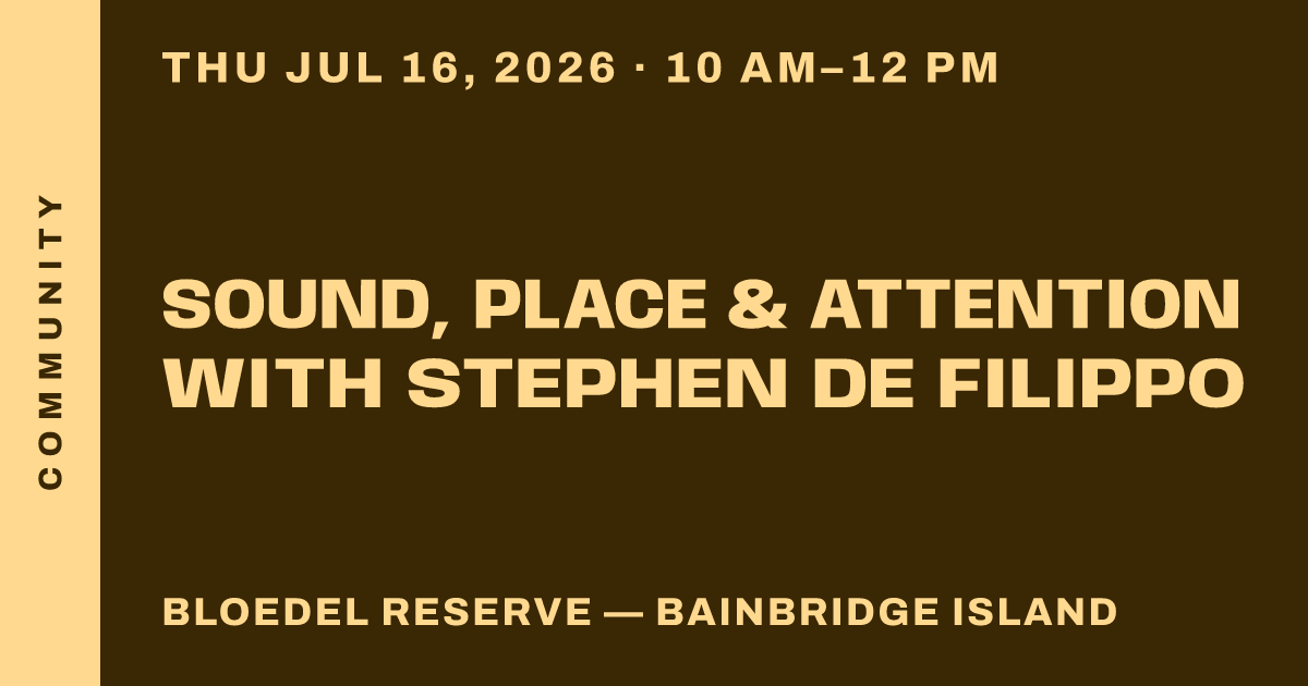 Sound, Place & Attention with Stephen de Filippo