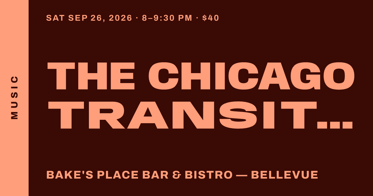 The Chicago Transit Experience